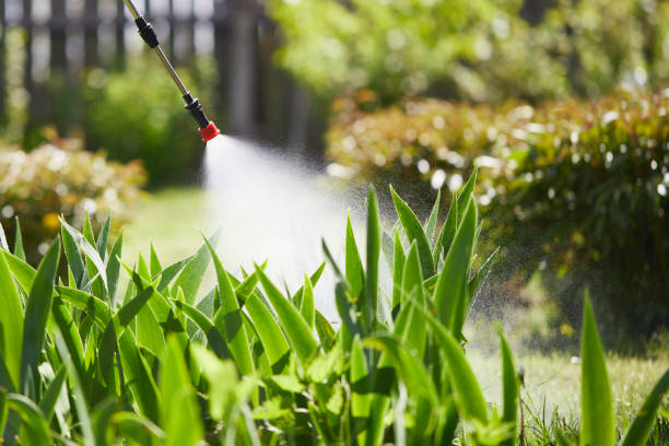 Tamper-Resistant Bait Stations for Rodents in Elkland