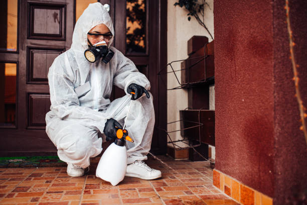 Attic and Crawl Space Rodent Treatment in Elkland